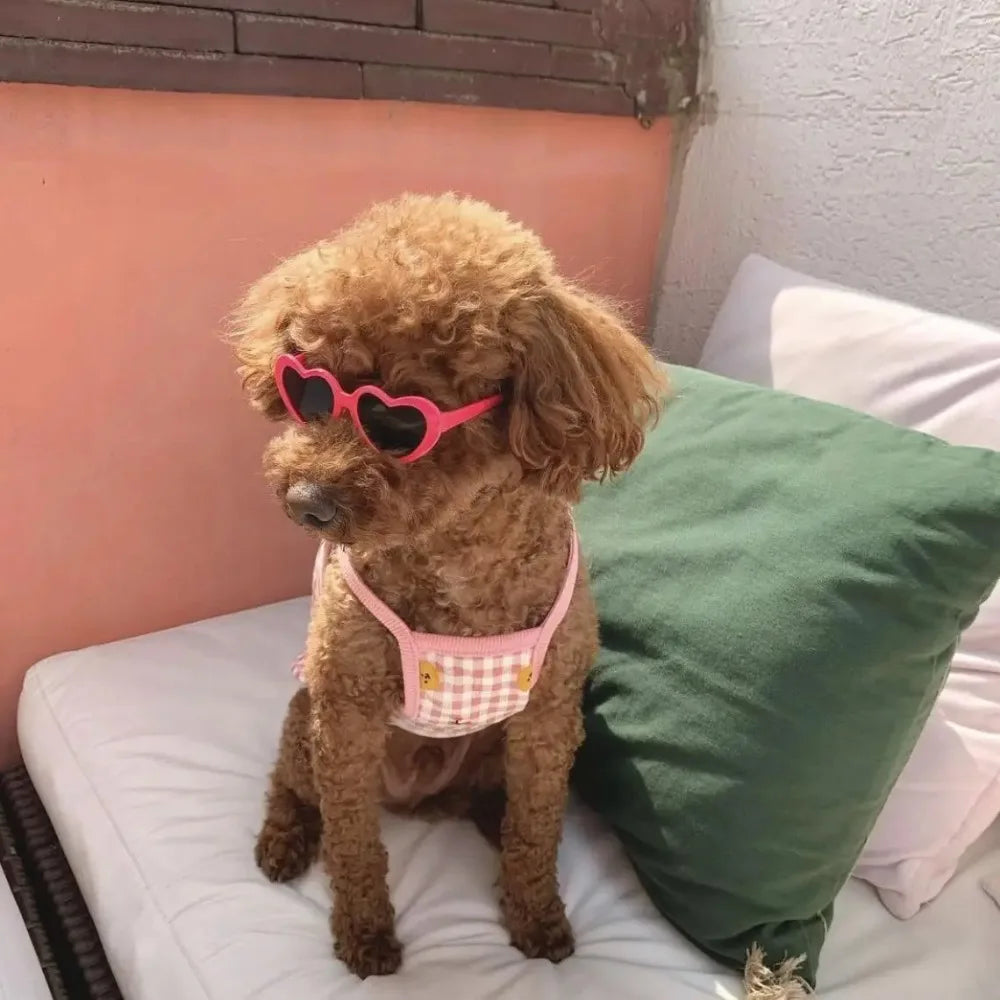 Love Pet Glasses Dog Cat Creative Fashion Sunglasses Sunglasses with Jewelry Cat Dog Love Glasses Pet Beauty Decoration Supplies